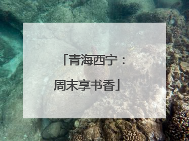 青海西宁：周末享书香