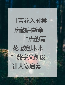 青花入时裳 唐韵启新章——“唐韵青花 数创未来”数字文创设计大赛启幕