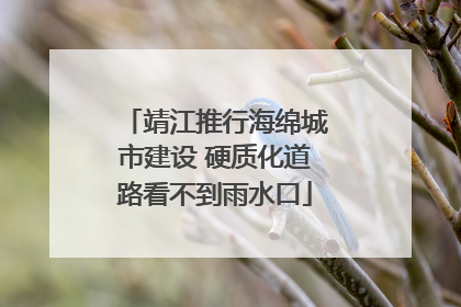 靖江推行海绵城市建设 硬质化道路看不到雨水口