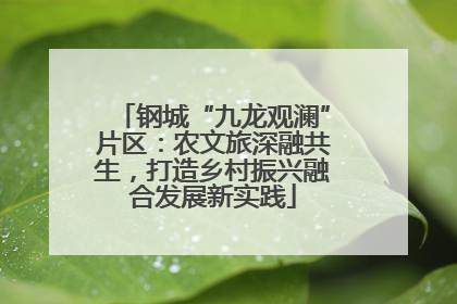 钢城“九龙观澜”片区：农文旅深融共生，打造乡村振兴融合发展新实践