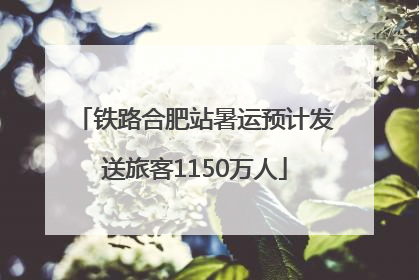 铁路合肥站暑运预计发送旅客1150万人