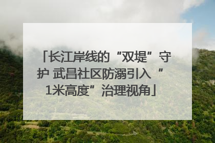 长江岸线的“双堤”守护 武昌社区防溺引入“1米高度”治理视角