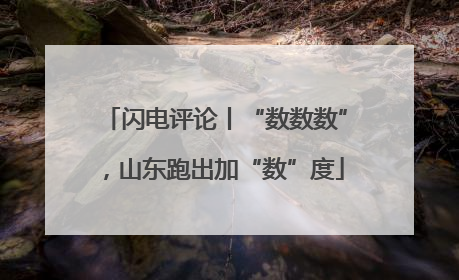 闪电评论丨“数数数”，山东跑出加“数”度