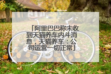 阿里巴巴称未收到天猫养车内斗消息，天猫养车：公司运营一切正常