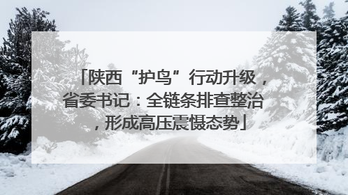 陕西“护鸟”行动升级，省委书记：全链条排查整治，形成高压震慑态势