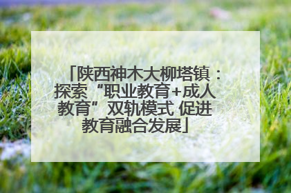陕西神木大柳塔镇：探索“职业教育+成人教育”双轨模式 促进教育融合发展