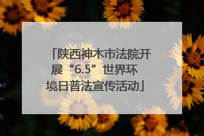 陕西神木市法院开展“6.5”世界环境日普法宣传活动