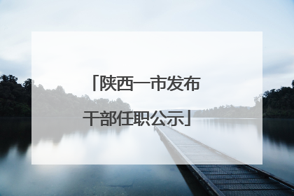 陕西一市发布干部任职公示