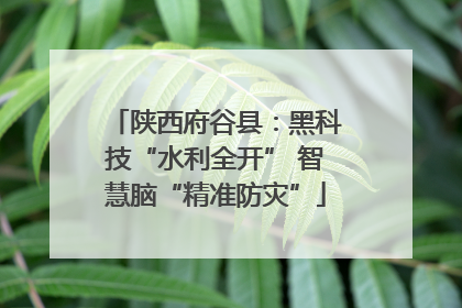 陕西府谷县：黑科技“水利全开” 智慧脑“精准防灾”