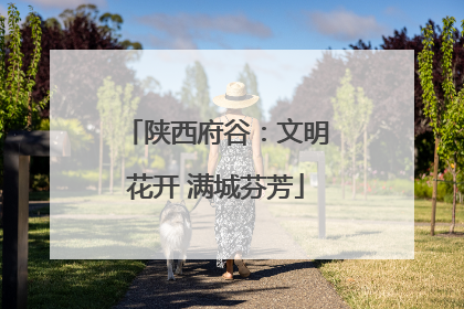 陕西府谷：文明花开 满城芬芳