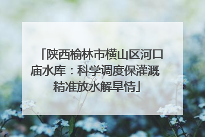 陕西榆林市横山区河口庙水库：科学调度保灌溉 精准放水解旱情