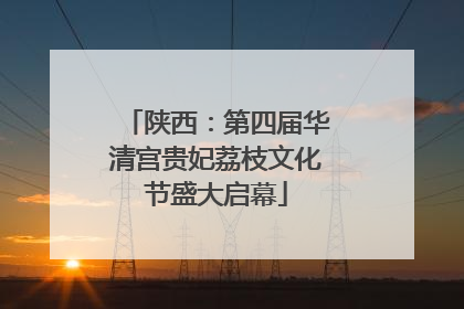 陕西：第四届华清宫贵妃荔枝文化节盛大启幕
