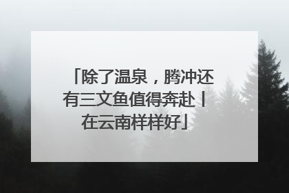 除了温泉，腾冲还有三文鱼值得奔赴丨在云南样样好
