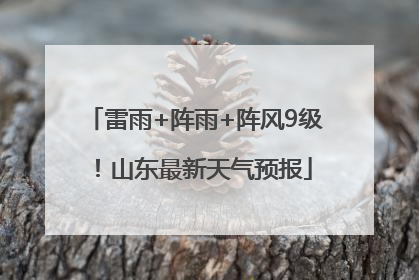雷雨+阵雨+阵风9级！山东最新天气预报