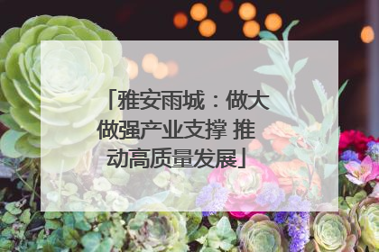 雅安雨城：做大做强产业支撑 推动高质量发展