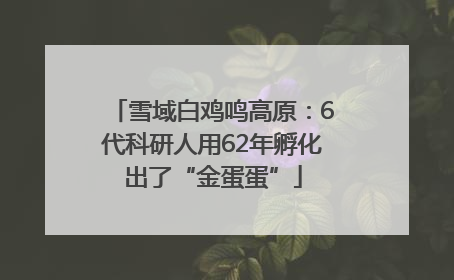 雪域白鸡鸣高原：6代科研人用62年孵化出了“金蛋蛋”