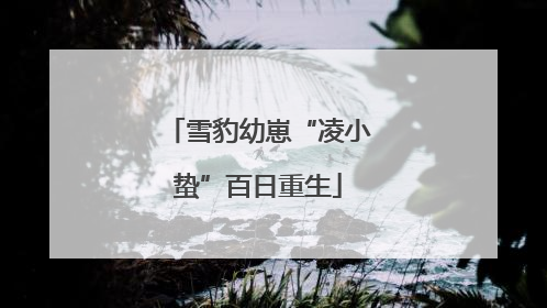 雪豹幼崽“凌小蛰”百日重生
