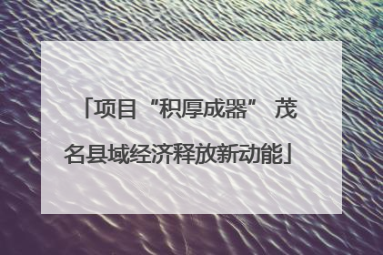 项目“积厚成器” 茂名县域经济释放新动能