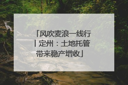 风吹麦浪一线行丨定州：土地托管带来稳产增收