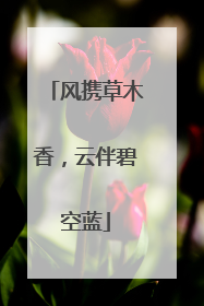 风携草木香，云伴碧空蓝