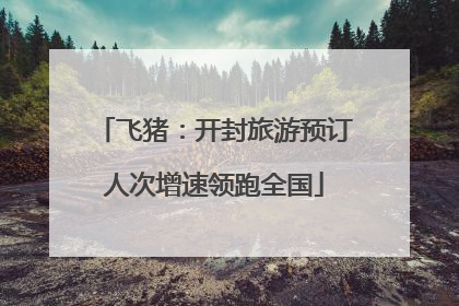 飞猪：开封旅游预订人次增速领跑全国