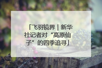 飞羽镜界｜新华社记者对“高原仙子”的四季追寻