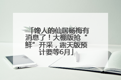 馋人的仙居杨梅有消息了！大棚版抢“鲜”开采，露天版预计要等6月