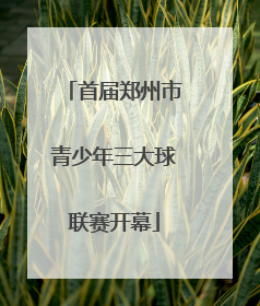 首届郑州市青少年三大球联赛开幕