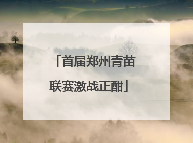 首届郑州青苗联赛激战正酣