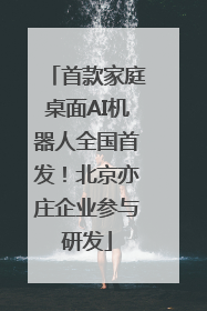 首款家庭桌面AI机器人全国首发！北京亦庄企业参与研发