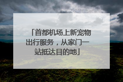 首都机场上新宠物出行服务，从家门一站抵达目的地