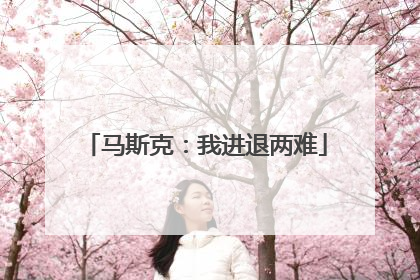 马斯克：我进退两难