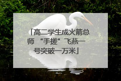 高二学生成火箭总师 “手搓”飞燕一号突破一万米