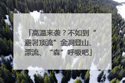 高温来袭？不如到“避暑顶流”金洞登山、漂流、“森”呼吸吧