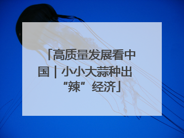 高质量发展看中国｜小小大蒜种出“辣”经济