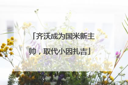 齐沃成为国米新主帅，取代小因扎吉