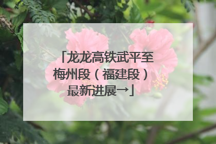 龙龙高铁武平至梅州段（福建段）最新进展→