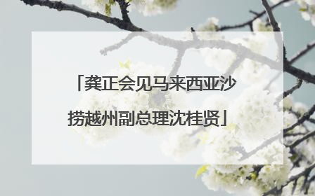 龚正会见马来西亚沙捞越州副总理沈桂贤
