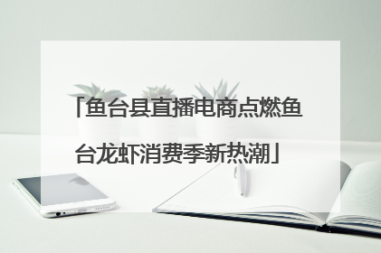 鱼台县直播电商点燃鱼台龙虾消费季新热潮