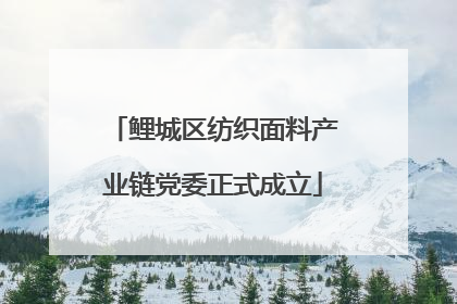 鲤城区纺织面料产业链党委正式成立