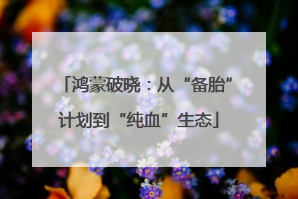 鸿蒙破晓：从“备胎”计划到“纯血”生态