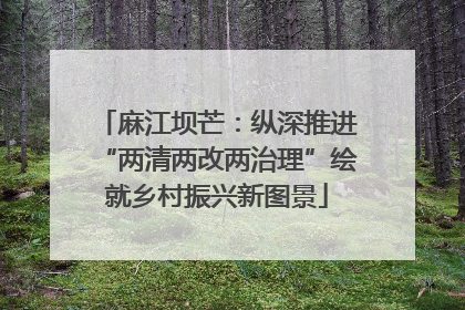 麻江坝芒：纵深推进“两清两改两治理”绘就乡村振兴新图景