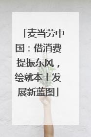 麦当劳中国：借消费提振东风，绘就本土发展新蓝图
