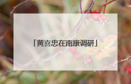 黄喜忠在南康调研