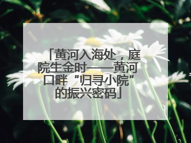 黄河入海处，庭院生金时——黄河口畔“归寻小院”的振兴密码