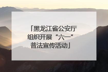 黑龙江省公安厅组织开展“六一”普法宣传活动