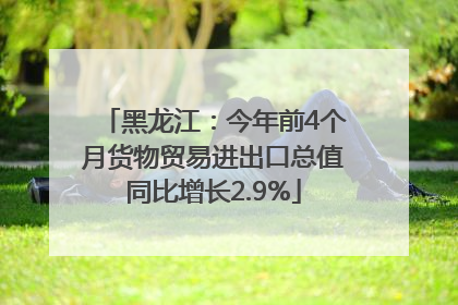 黑龙江：今年前4个月货物贸易进出口总值同比增长2.9%
