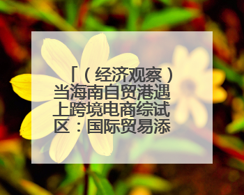 （经济观察）当海南自贸港遇上跨境电商综试区：国际贸易添新动能