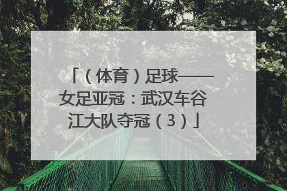 （体育）足球——女足亚冠：武汉车谷江大队夺冠（3）