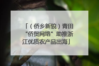 （侨乡新貌）青田“侨贸网络”助推浙江优质农产品出海